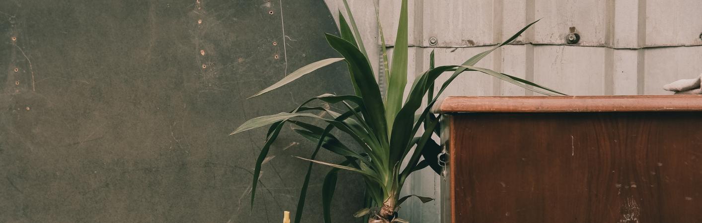 Möbel für Reparatur